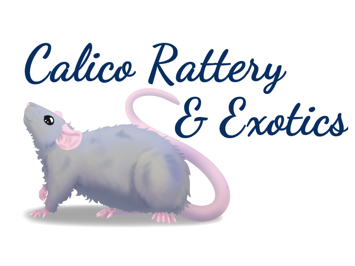 Calico Rattery and Exotics